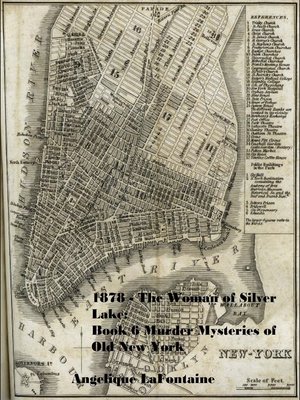 cover image of 1878 – the Woman of Silver Lake